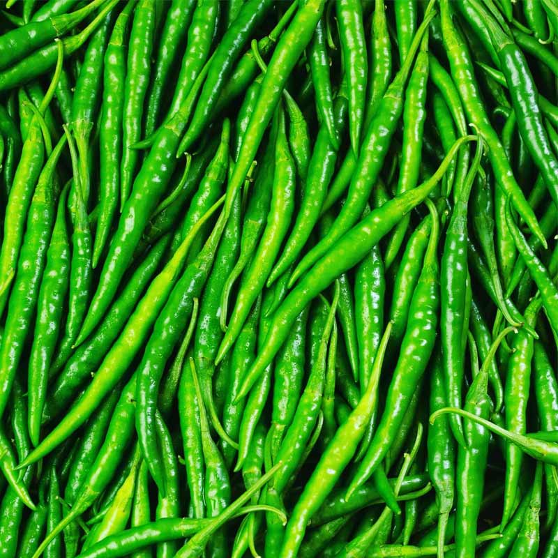 Fresh Green Chilies Exporters from India